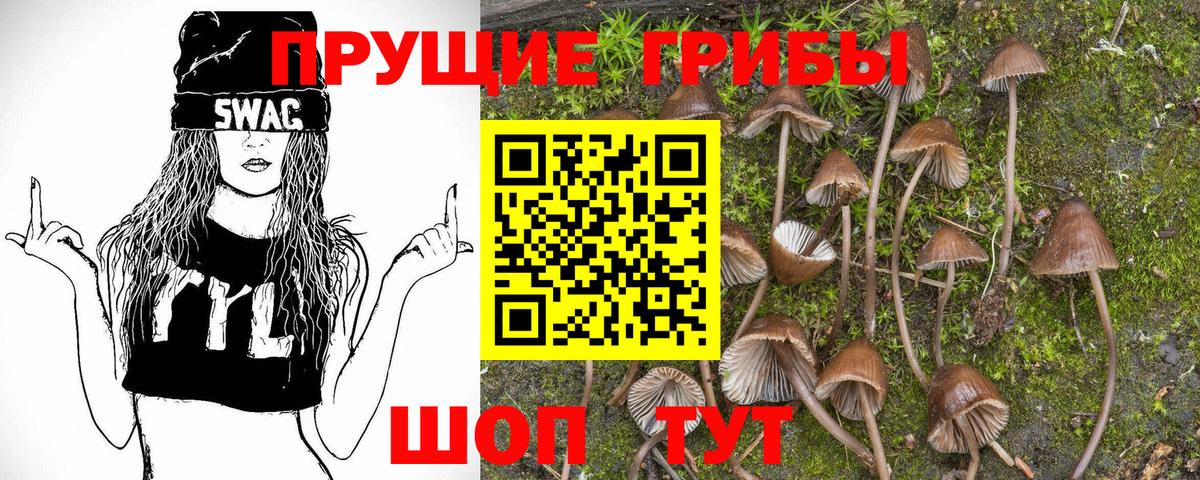 Спасск-Дальний  Псилоцибиновые грибы ЛСД  Вход с VPN 